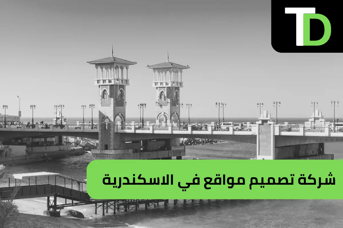 شركة تصميم مواقع في الاسكندرية