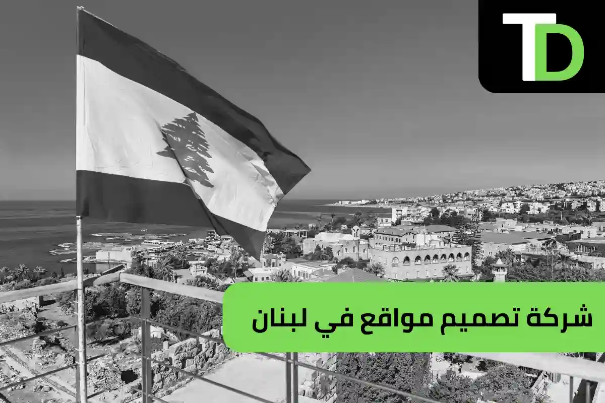 شركة تصميم مواقع في لبنان