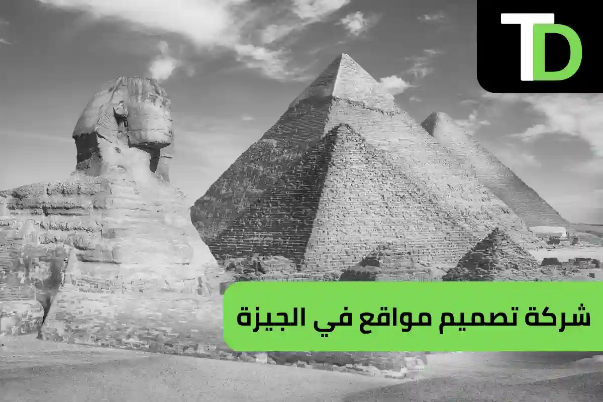 شركة تصميم مواقع في الجيزة