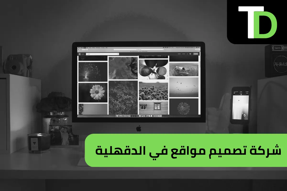 شركة تصميم مواقع في الدقهلية