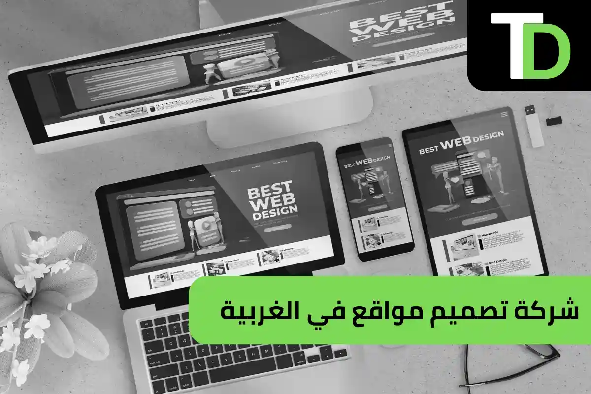 شركة تصميم مواقع في الغربية 1 شركة تصميم مواقع في الغربية