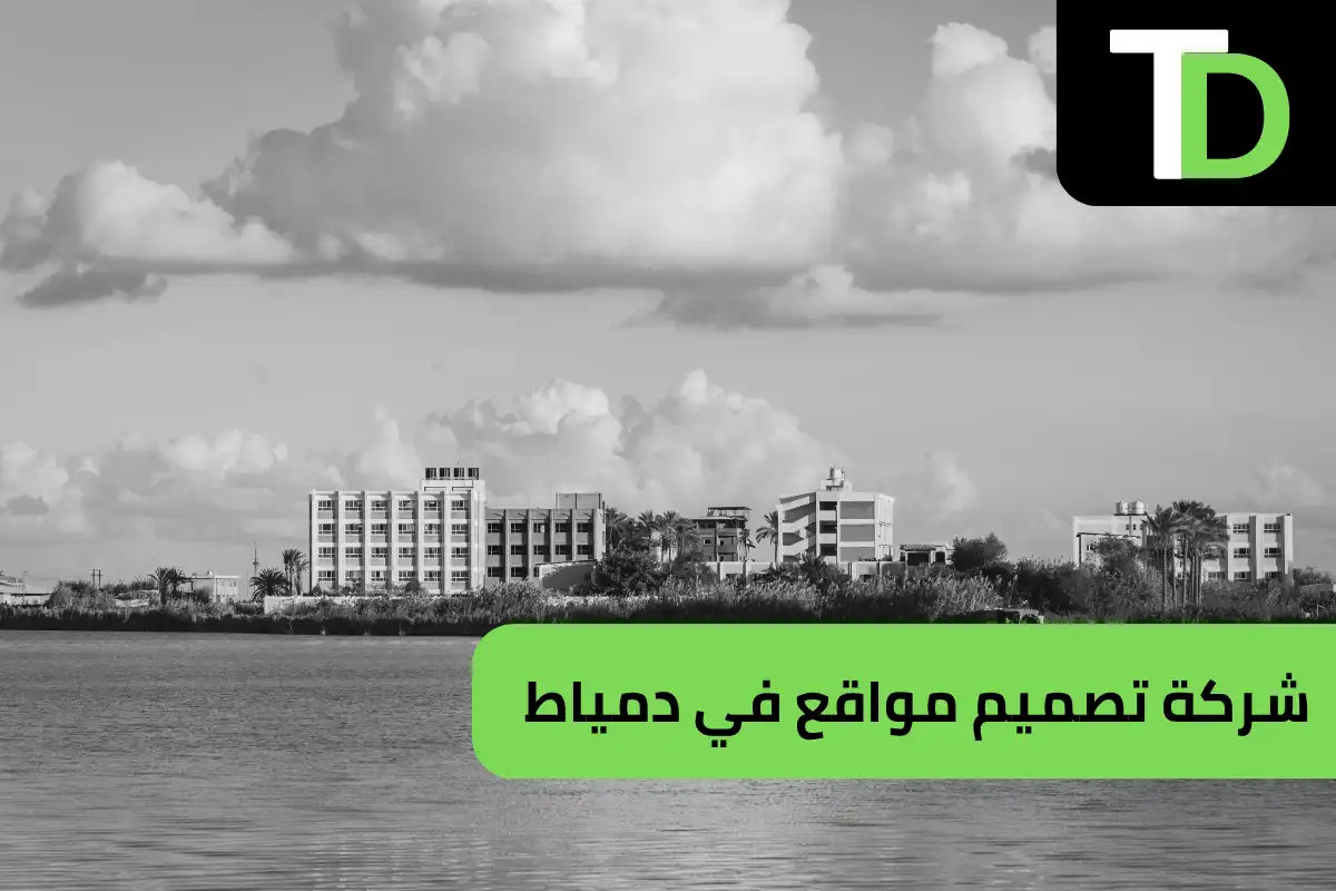 شركة تصميم مواقع في دمياط