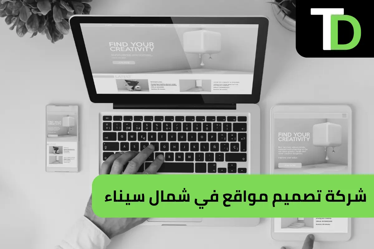 شركة تصميم مواقع في شمال سيناء