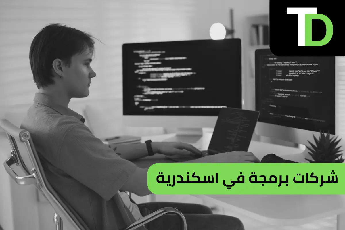 افضل شركات برمجة في اسكندرية احترافية جدا 1 شركات برمجة في اسكندرية