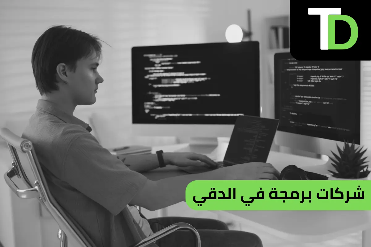 شركات برمجة في الدقي